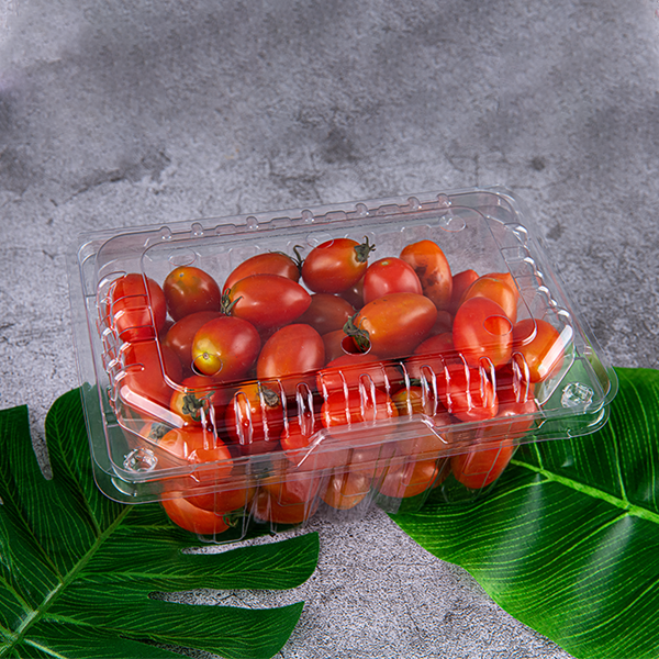 Fruit & Vegetable Packing