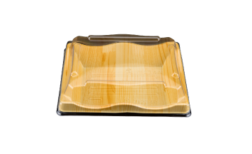 Sushi Container